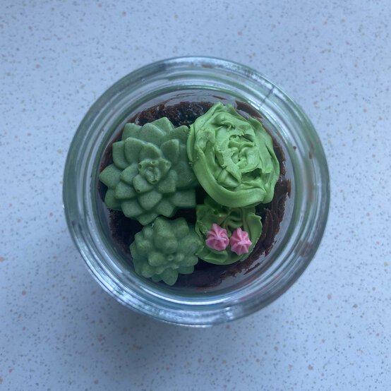 Idea_how-to-make-terrarium-cake-jars_step8a.jpg?sw=554&q=85