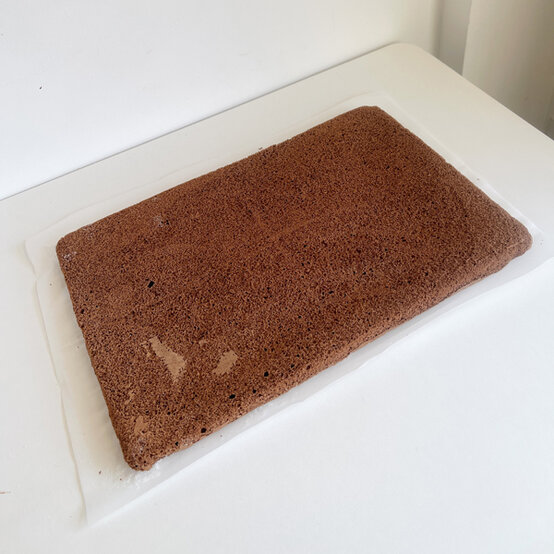 idea_christmas-botanical-yule-log_step11b.jpg?sw=554&q=85