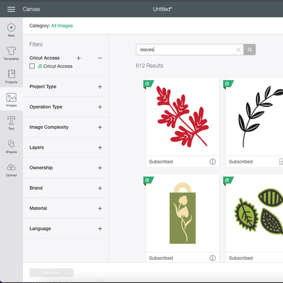 adhesive-vinyl-bday-card_step4.jpg?sw=554&q=85