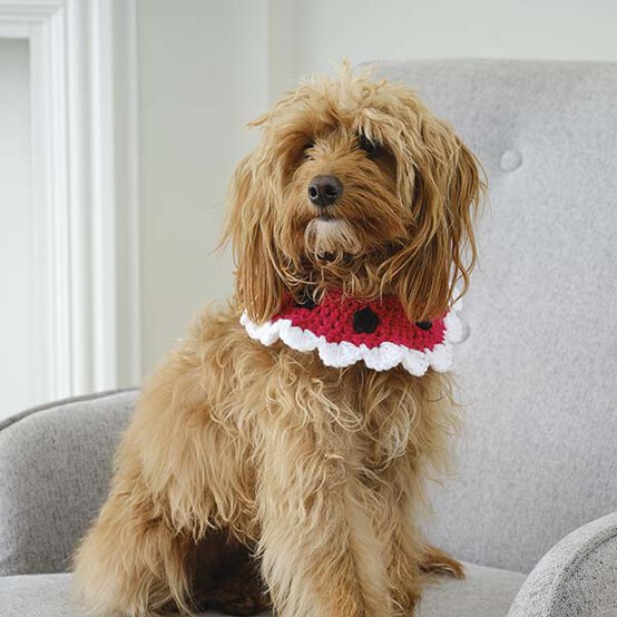 ideas%5Fhow%2Dto%2Dcrochet%2Da%2Dchristmas%2Dpet%2Daccessory%5Ffinished%5Fcollar%5F1.jpg?sw=554&q=85