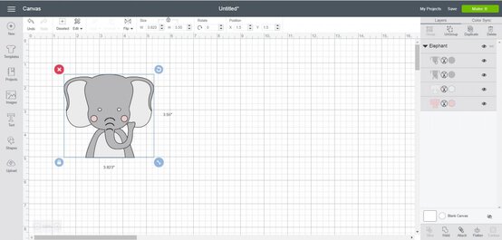 elephant-tee_sg3.jpg?sw=554&q=85