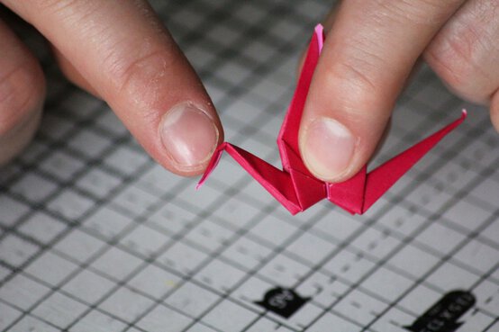 img_7392_edit.jpg?sw=554&q=85