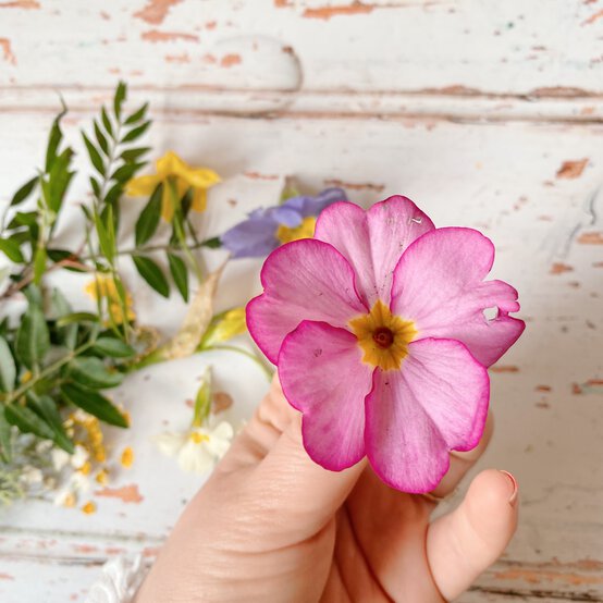 how_to_make_a_pressed_flower_frame_1.jpg?sw=554&q=85