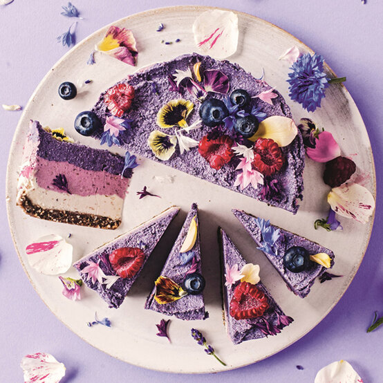 vegan-cheesecake.jpg?sw=554&q=85