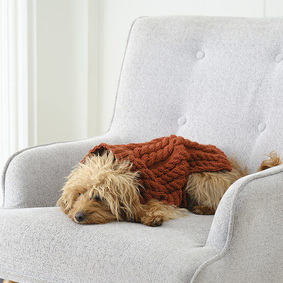 ideas%5Fhow%2Dto%2Dknit%2Dan%2Dautumn%2Ddog%2Dcoat%5F5.jpg?sw=554&q=85