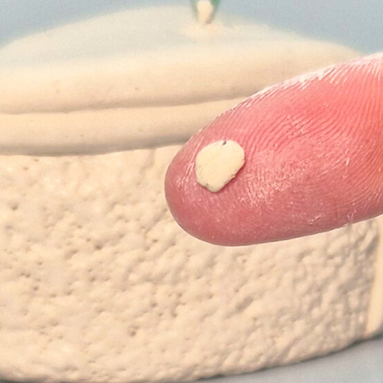 idea%5Fnovelty%2Dchristmas%2Dtree%2Ddecorations%5Fstep%2D22.jpg?sw=554&q=85