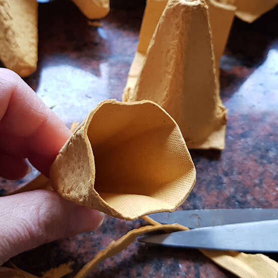 egg_box_cupcakes_1b.jpg?sw=554&q=85