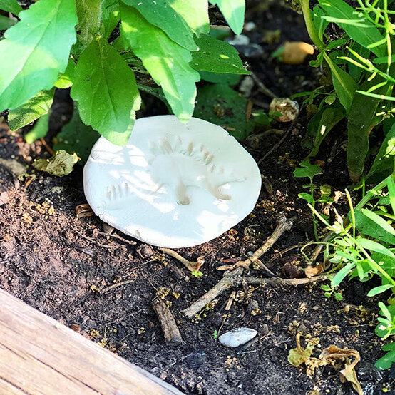 air-dry-clay-fossils-step7.jpg?sw=554&q=85