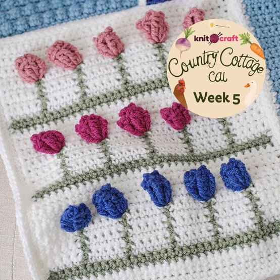 Week%205.jpg?sw=554&q=85