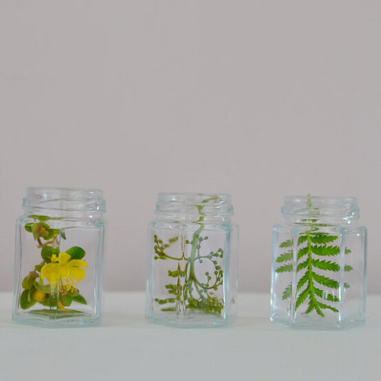 botanical-jars-group.jpg?sw=554&q=85