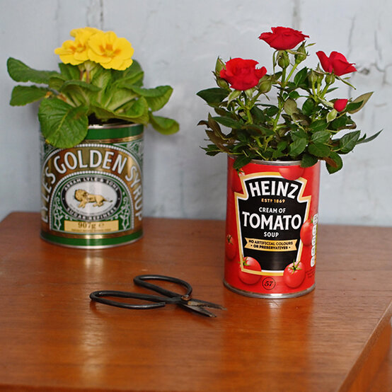 sustainable-living-ideas2.jpg?sw=554&q=85