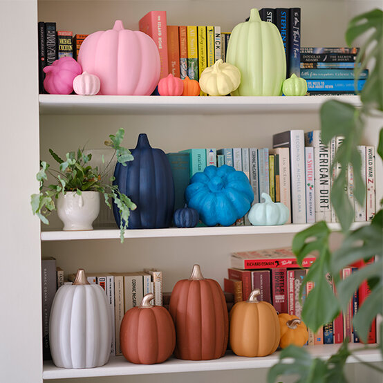 rainbow-pumpkin-display.jpg?sw=554&q=85