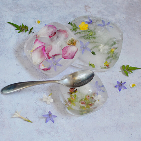 idea_summer-crafts-for-kids-for-under_botanical.jpg?sw=554&q=85