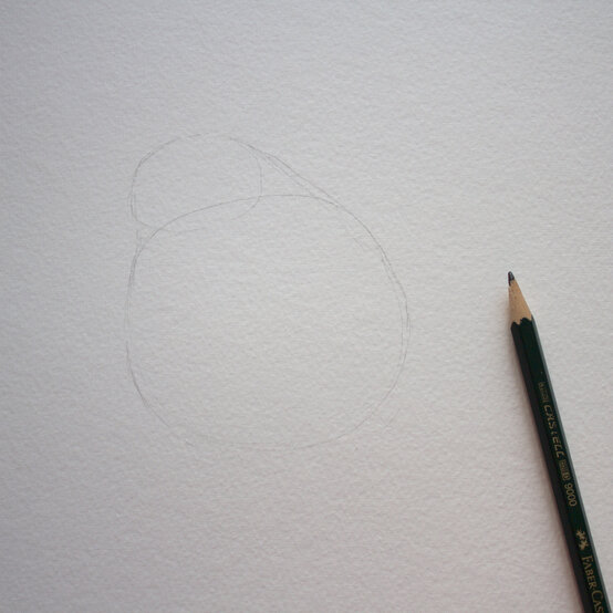 paint_a_watercolour_robin_painting_step_1.jpg?sw=554&q=85