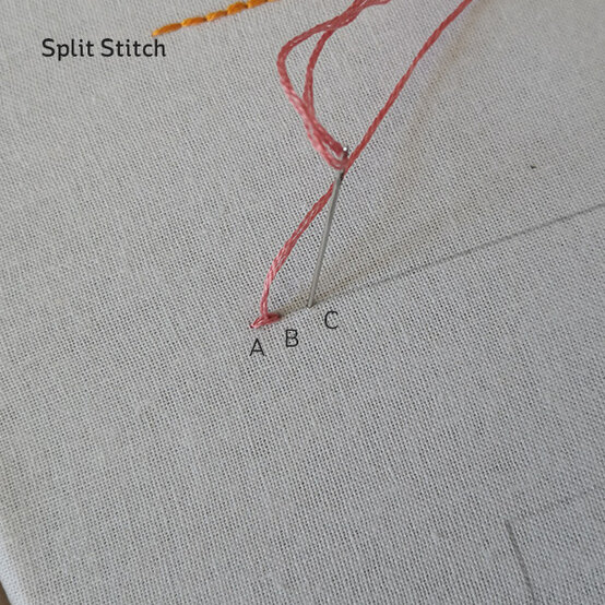 sps-cc.jpg?sw=554&q=85