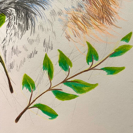 how%2Dto%2Dsketch%2Da%2Dfox%5Fstep%2D6a.jpg?sw=554&q=85