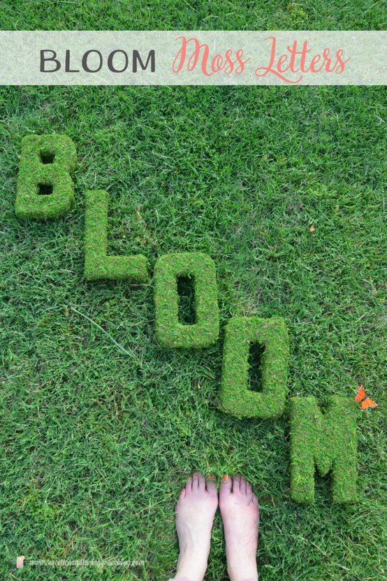 0062.jpg?sw=554&q=85