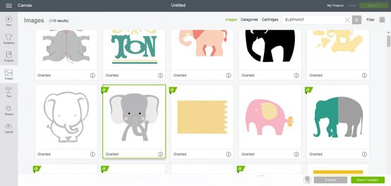 elephant-tee_sg1.jpg?sw=554&q=85