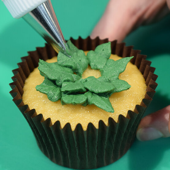 cactus-cupcakes-renshaw-3.jpg?sw=554&q=85