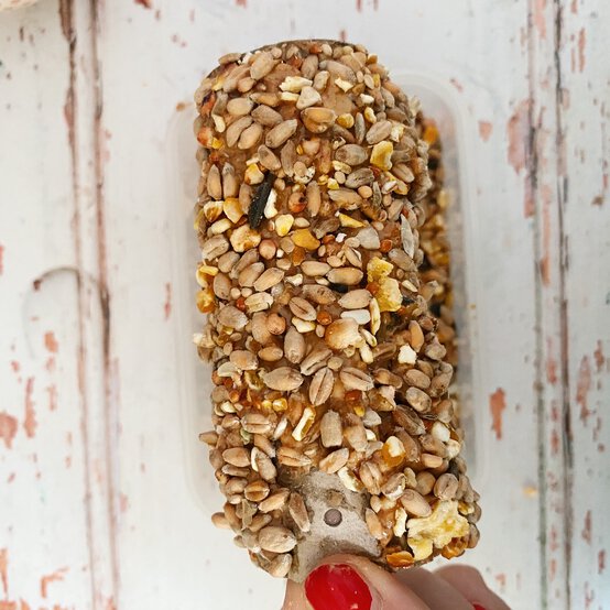 how_to_make_a_bird_feeder_4b.jpg?sw=554&q=85