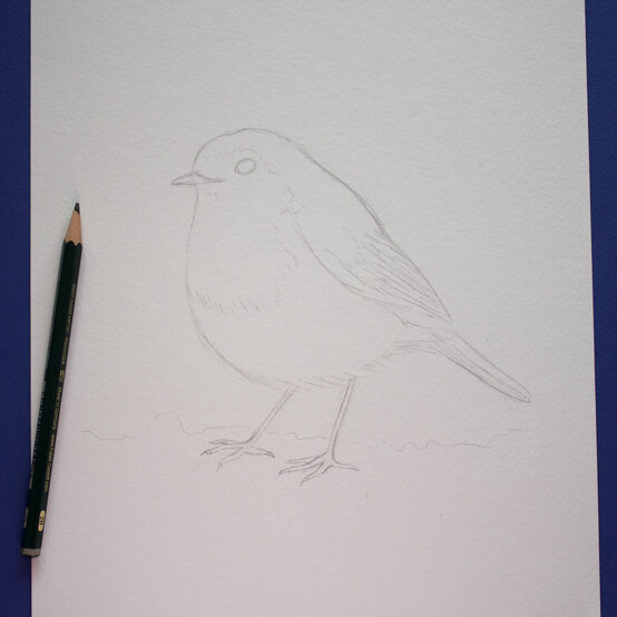 paint_a_watercolour_robin_painting_step_1_2.jpg?sw=554&q=85