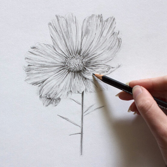 get_started_in_drawing_add_details_8-1000-pixels.jpg?sw=554&q=85