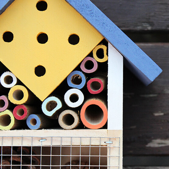 img_6957_3-1.jpg?sw=554&q=85