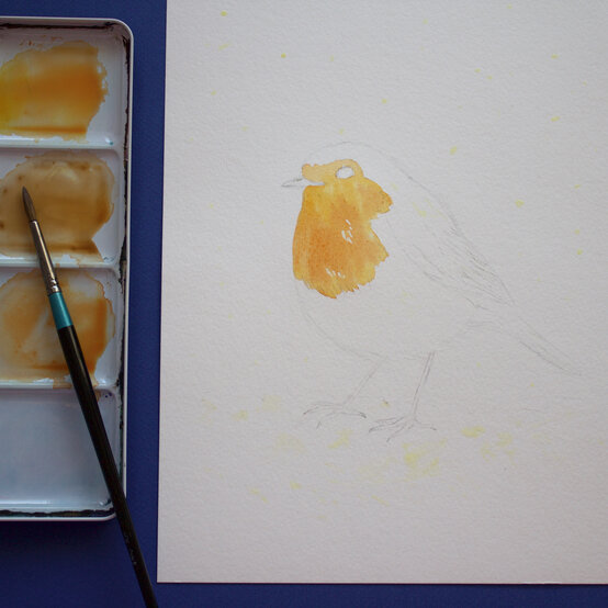 paint_a_watercolour_robin_painting_step_3.jpg?sw=554&q=85