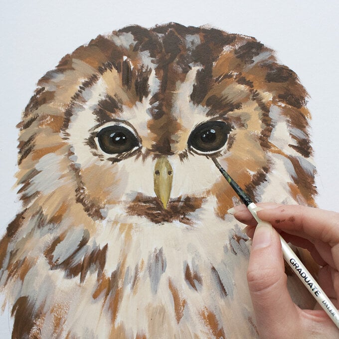 how_to_paint_acrylic_owl_layers_7-1000-pixels.jpg?sw=680&q=85