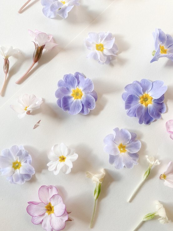 how_to_make_pressed_flower_art_3.jpg?sw=554&q=85