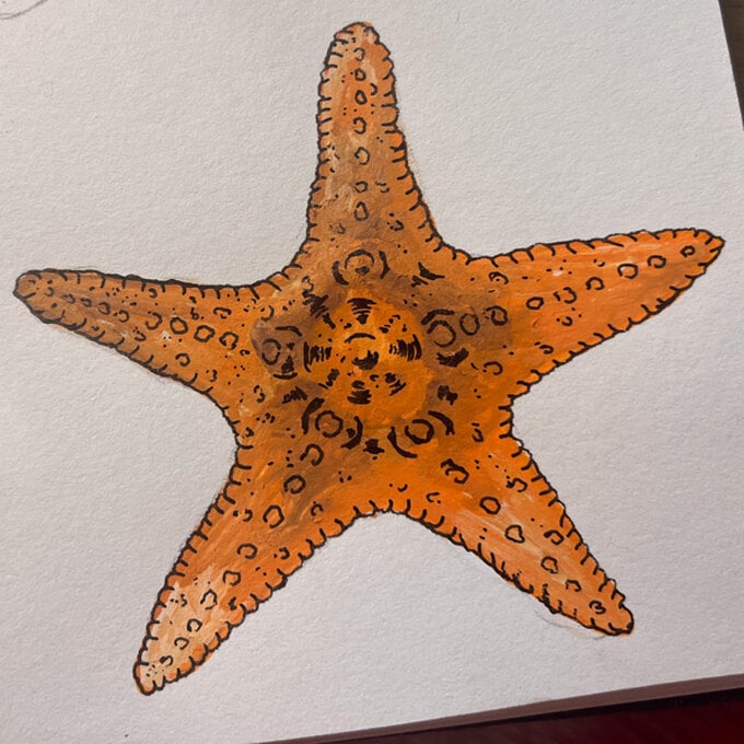 idea%5Fhow%2Dto%2Dillustrate%2Dwith%2Dpaint%2Dmarkers%2Dstarfish%5Fstep9.jpg?sw=680&q=85
