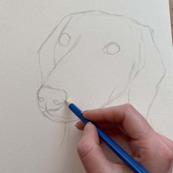 ideas%5Fhow%2Dto%2Ddraw%2Da%2Ddachsund%5Fstep%2D1c.jpg?sw=554&q=85