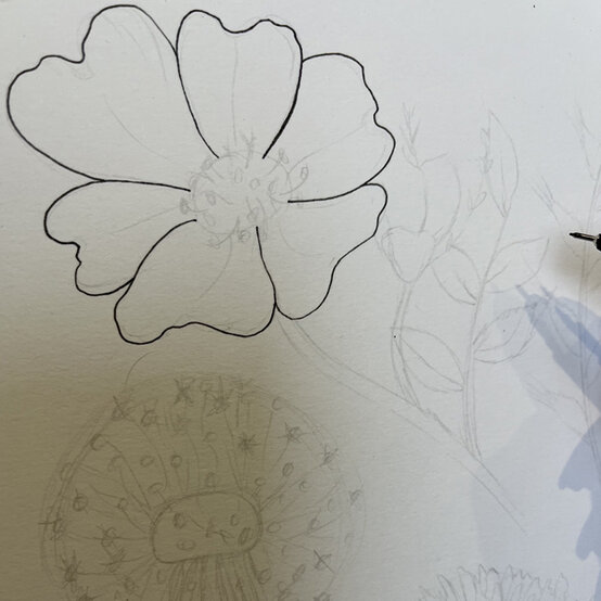 idea_how-to-draw-botanical-illustrations-dogrose_step5b.jpg?sw=554&q=85