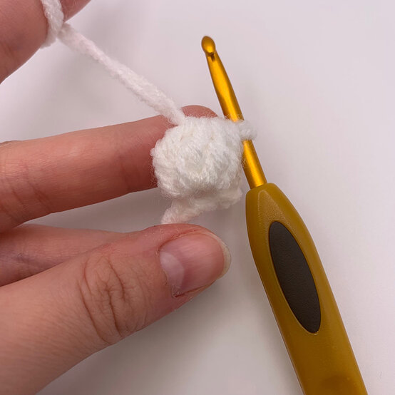 How%2Dto%2DCrochet%2Dan%2DAmigurumi%2DSheep%5FSpecialStitches%5F4.jpeg?sw=554&q=85