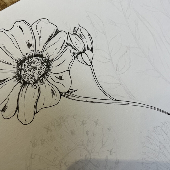 idea_how-to-draw-botanical-illustrations-dogrose_step7b.jpg?sw=680&q=85