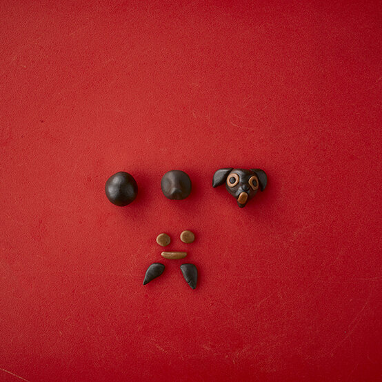 renshaw-dog-cake-bertie-bobo-4-1.jpg?sw=554&q=85