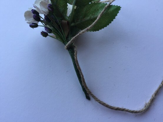 img_4401-773x580.jpg?sw=554&q=85