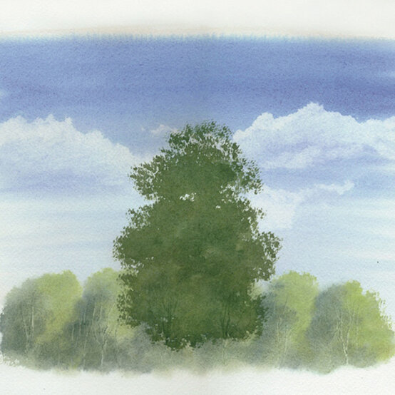 SUMMER-TREE-7.jpg?sw=554&q=85