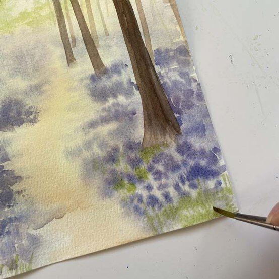 Bluebell%5Fwoodland%5FStep%207.2.jpg?sw=554&q=85