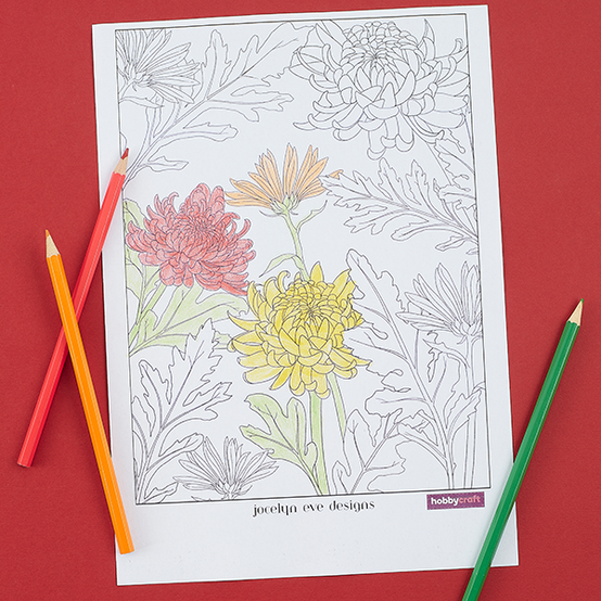 idea%5Fautumnal%2Dfree%2Dflower%2Dcolouring%2Dsheets%2Dto%2Ddownload%5Fchrysanthemums.png?sw=554&q=85