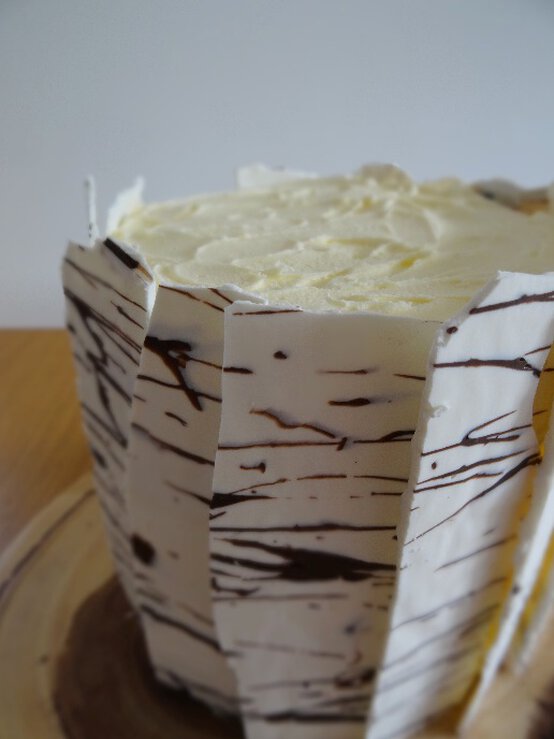 stag-6.jpg?sw=554&q=85