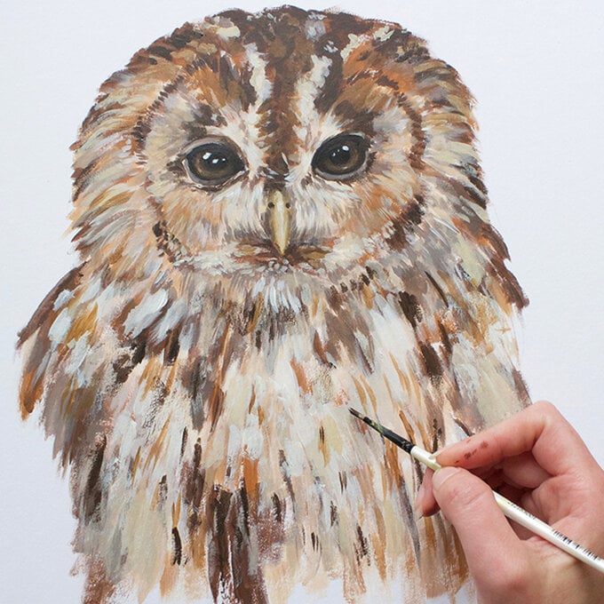 idea_get-started-in-acrylic-painting_owl.jpg?sw=680&q=85
