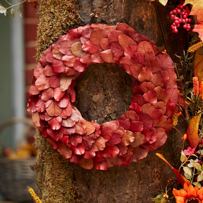 idea_how-to-make-an-autumnal-leaf-wreath_step.jpg?sw=680&q=85