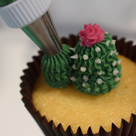 cactus-cupcakes-renshaw-2.jpg?sw=554&q=85