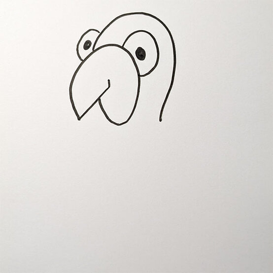 Parrot%20Drawing%5FStep2b.jpg?sw=554&q=85