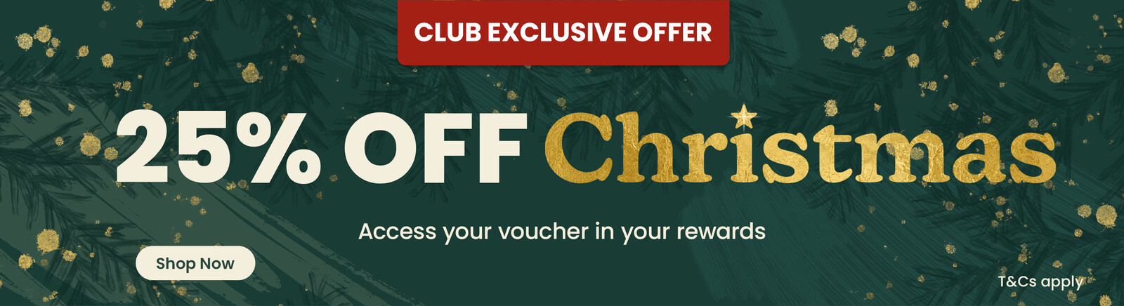 A fireplace with four personalised stockings hanging from it. Header text says Make Christmas Magical along with a Shop Now button. Clicking leads to the Christmas page