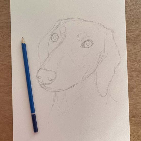 ideas%5Fhow%2Dto%2Ddraw%2Da%2Ddachsund%5Fstep%2D1d.jpg?sw=554&q=85