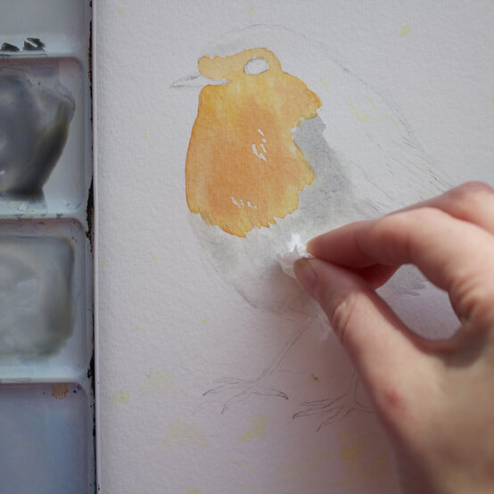 paint_a_watercolour_robin_painting_step_4_1.jpg?sw=554&q=85