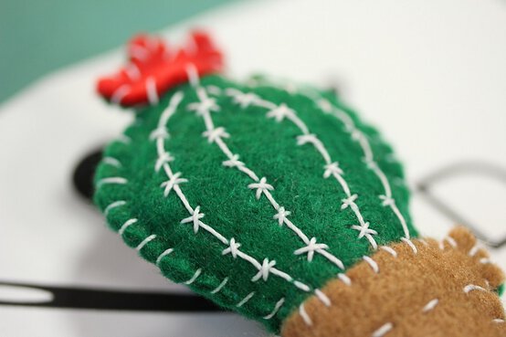 cactus-pin_blog-2.jpg?sw=554&q=85