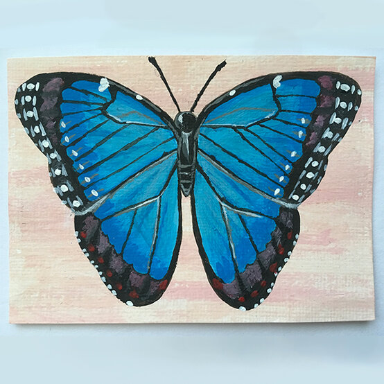artisan-anna-stewart-blue-morpho-butterfly-atc.jpg?sw=554&q=85